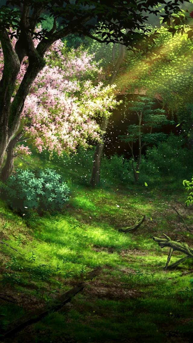 唯美春天树林樱花落