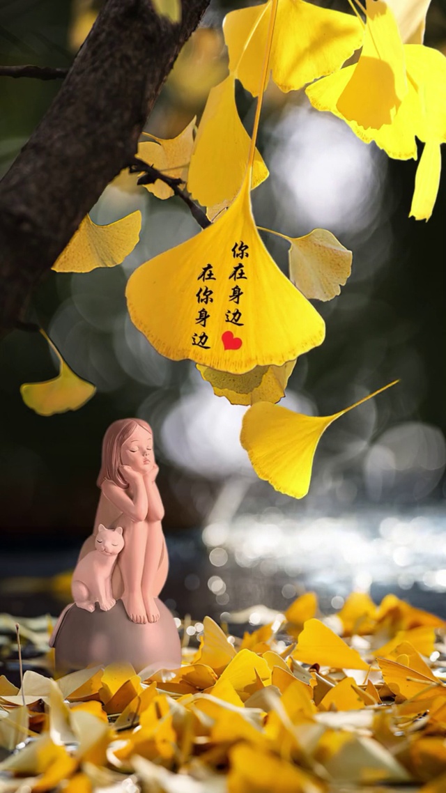 落叶等待