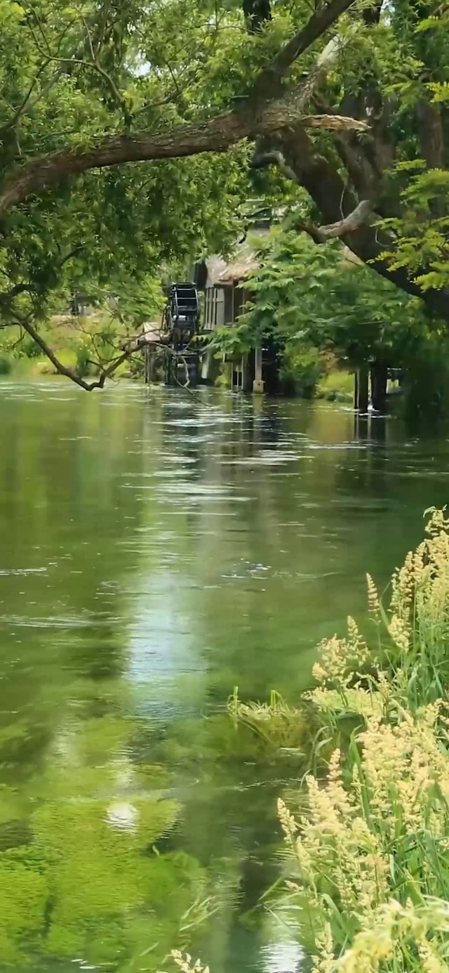 4K超清护眼【小河边】