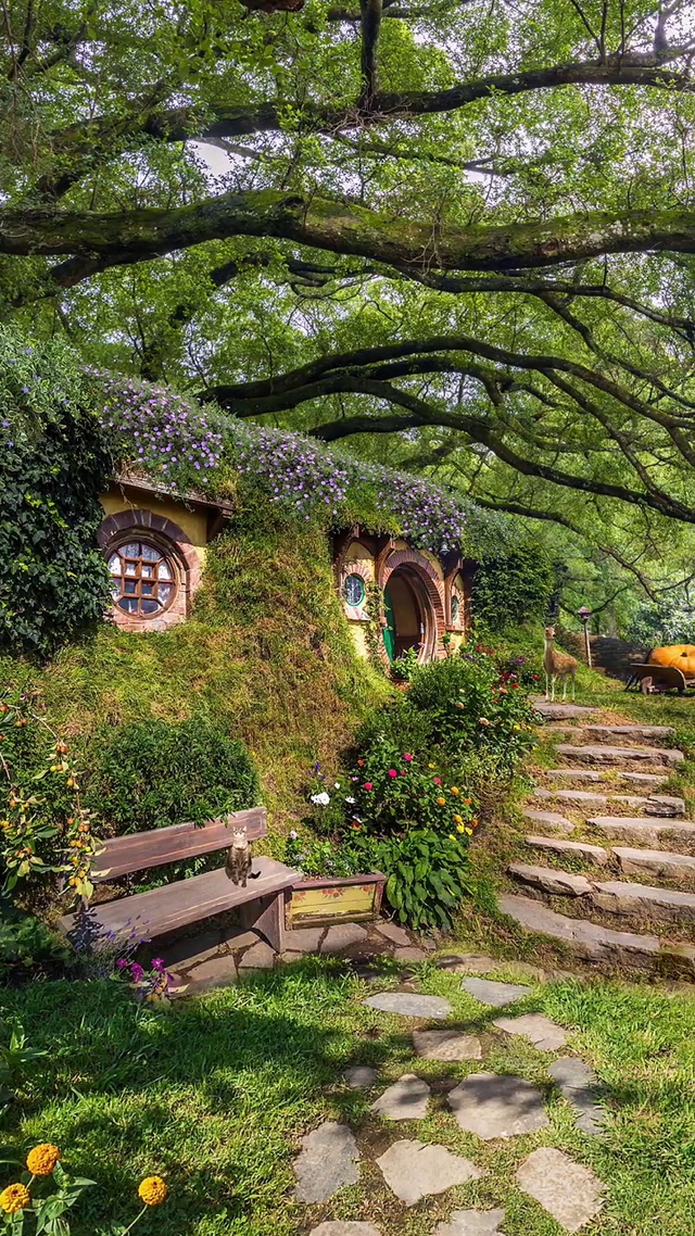 深林小屋