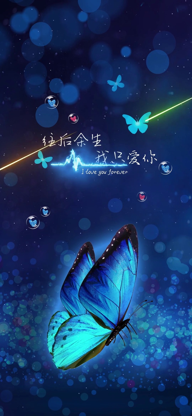 蝶舞 动物手机动态壁纸 动物手机壁纸下载 元气壁纸