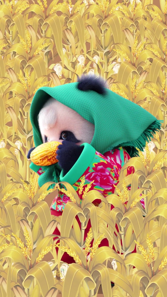 熊非熊努力干饭