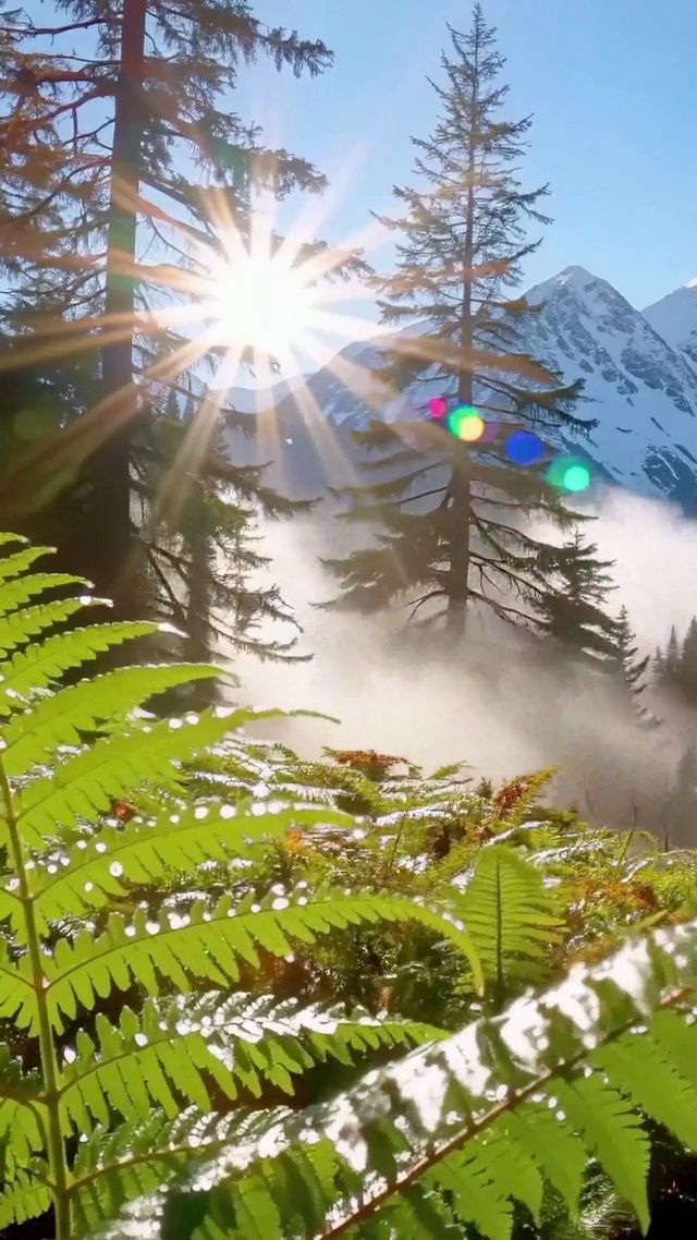 雪山晨光