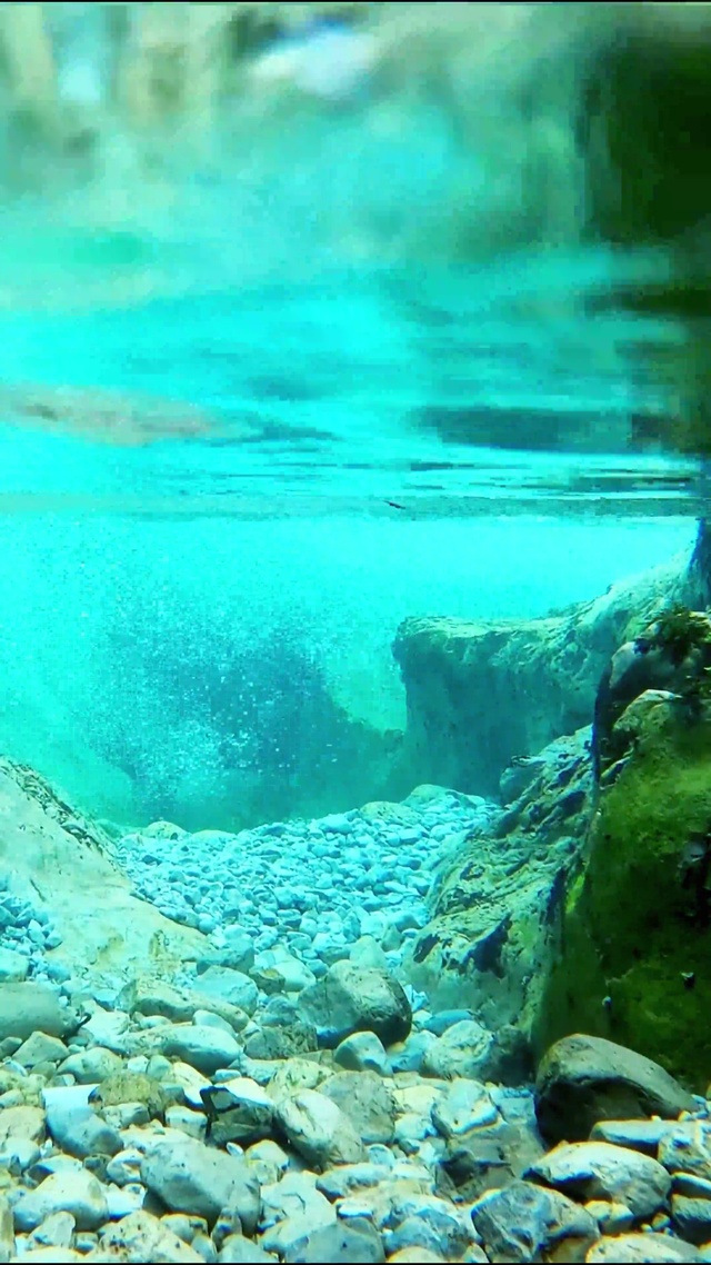治愈清新水下世界 4K