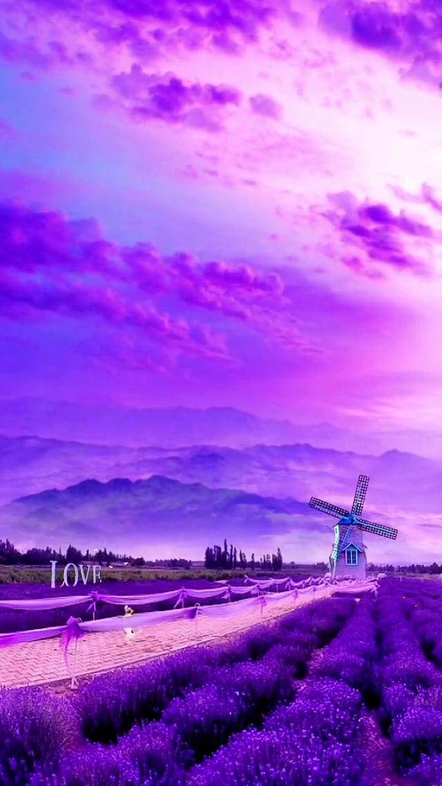 爆款紫色浪漫花海