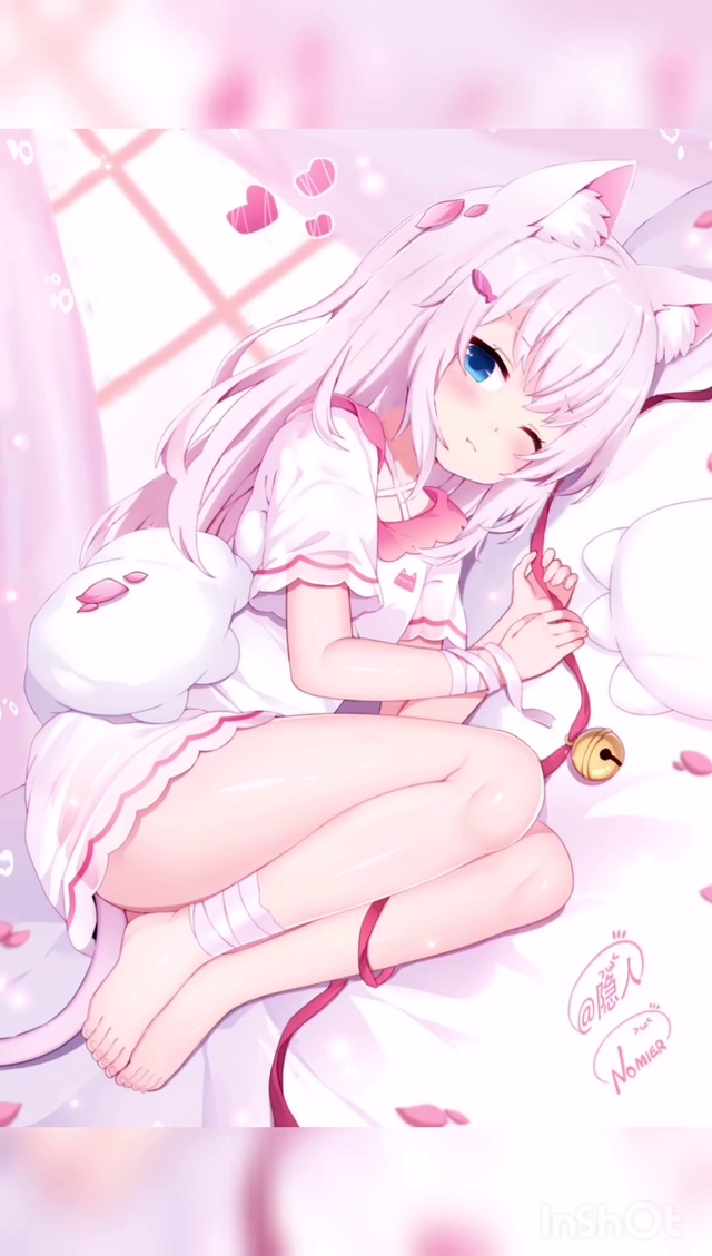 猫娘
