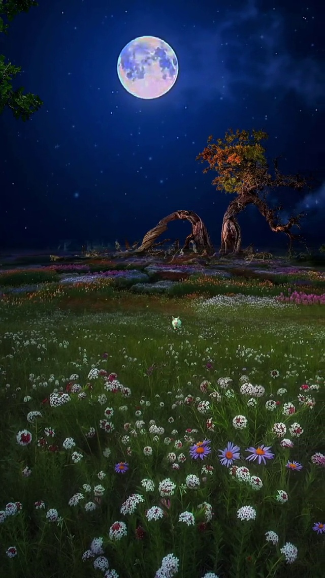 纵容思念开成一片海