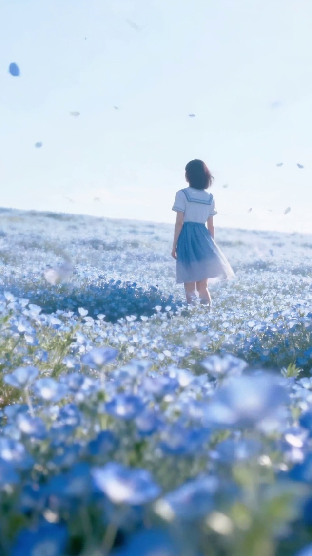 蓝色花海里的少女背影