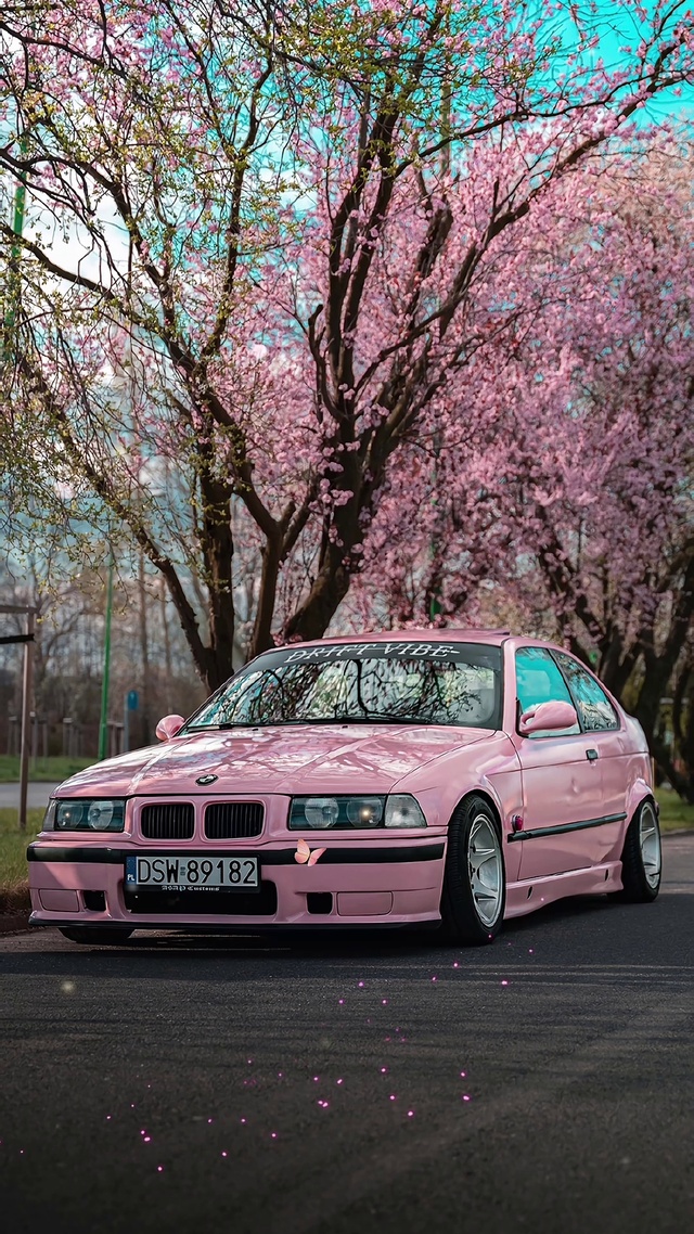 粉色宝马车