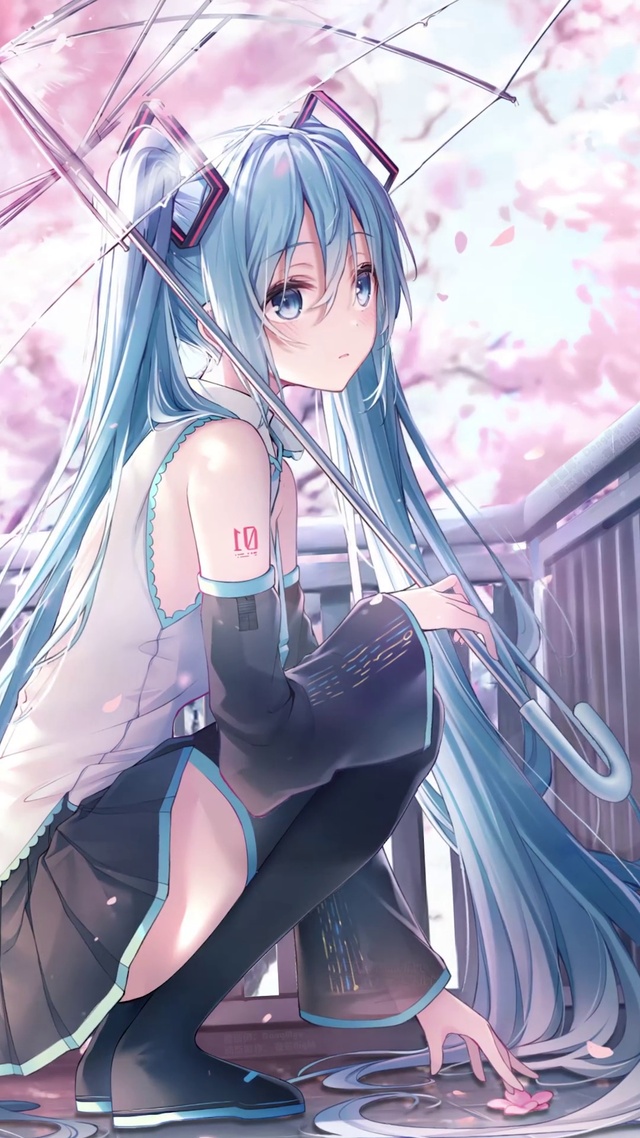 初音未来 樱之雨