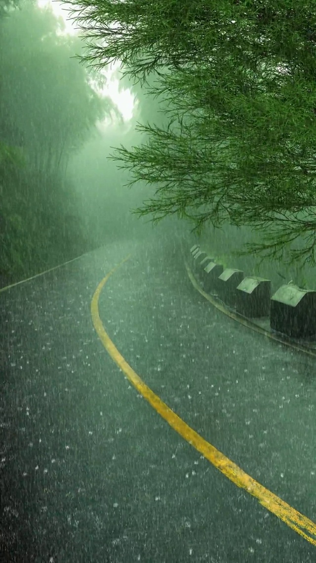 暴雨公路