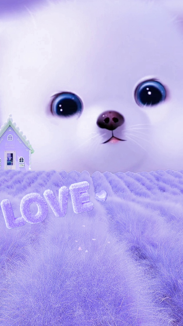 可可爱爱狗狗