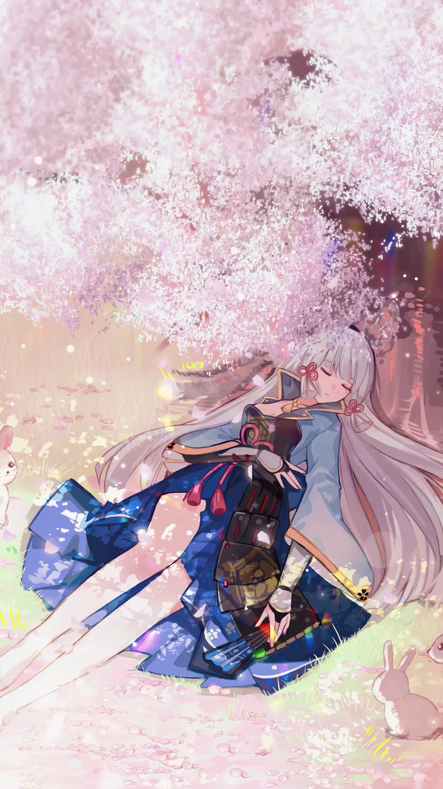 樱花季午睡