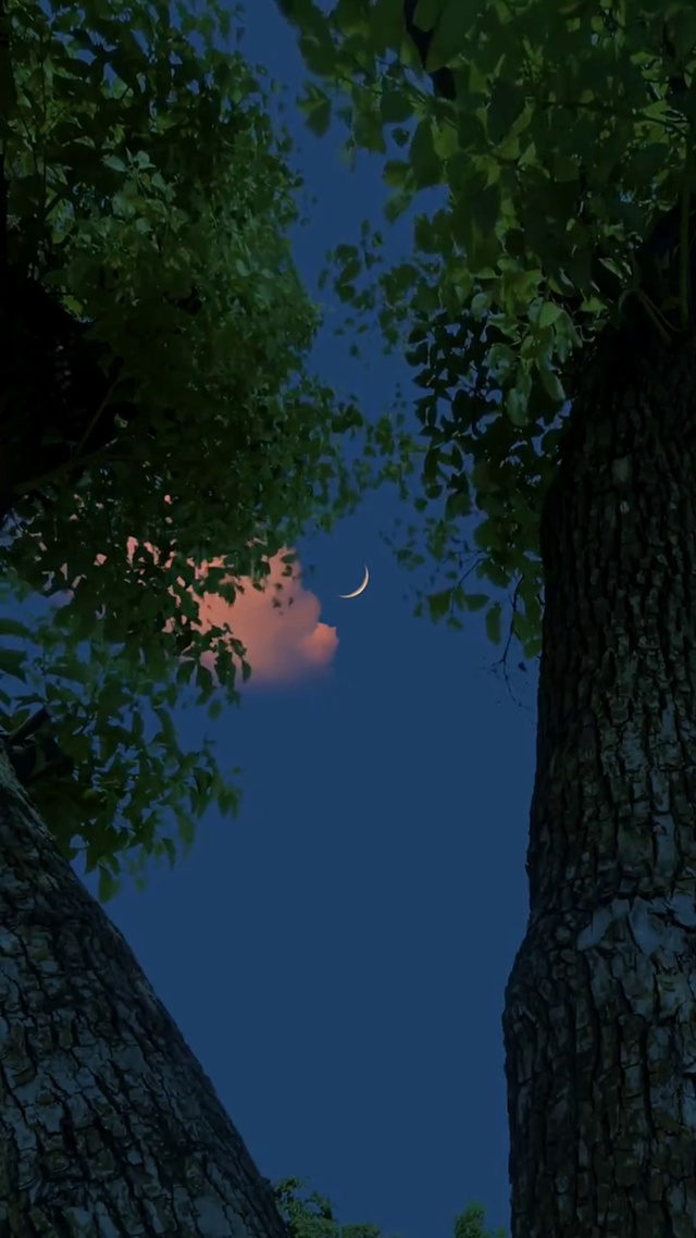 心若不动，风又奈何，但我的心动了。