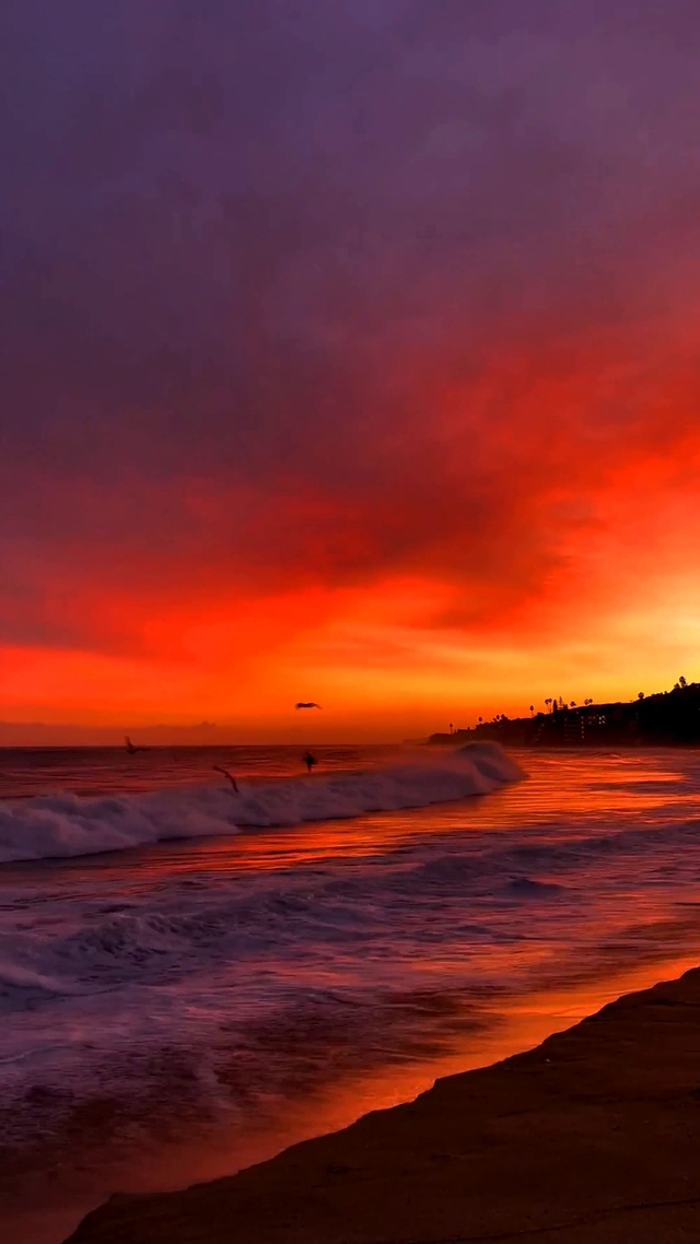 可不可以慢一点忘记我