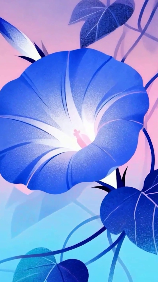 喇叭花