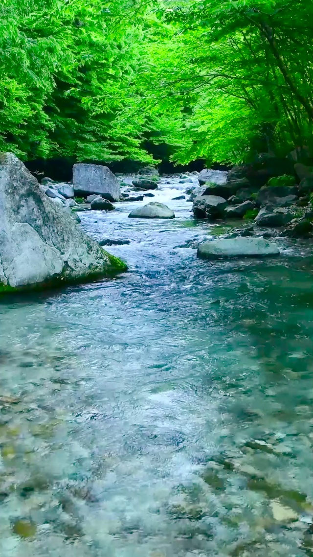 清凉溪流绿林山涧