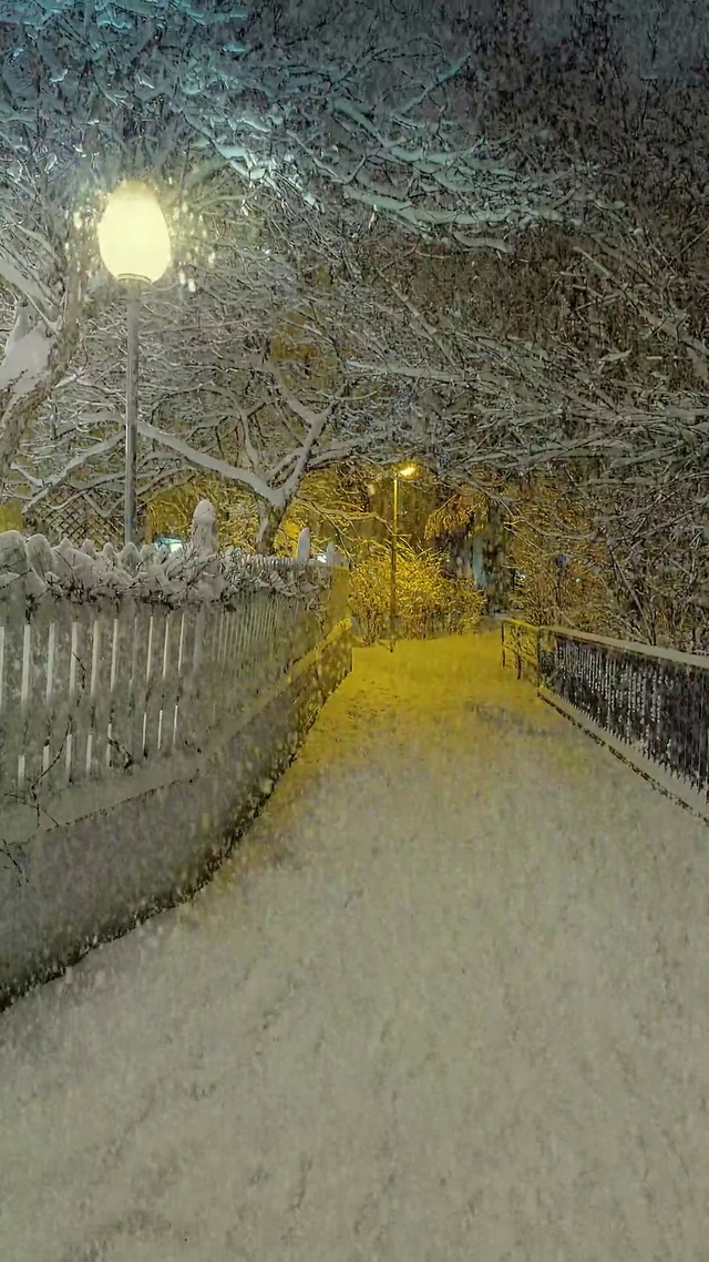 治愈回家雪景