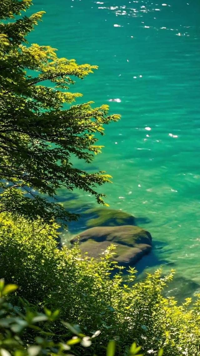 青山绿水