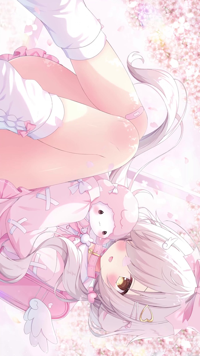 樱花色的温柔梦境