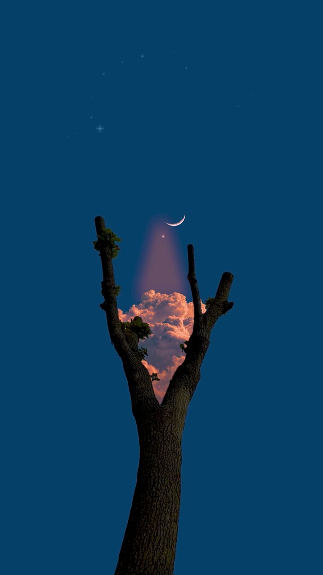 夜晚