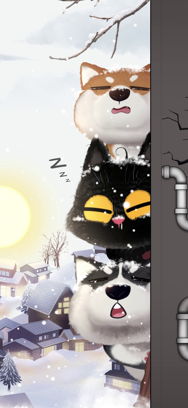 嘿毛的冬日伙伴