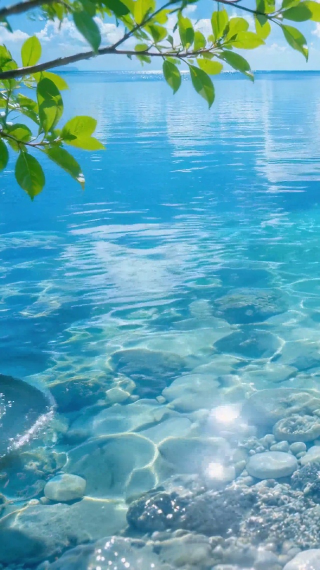 澄澈清凉海湾风景