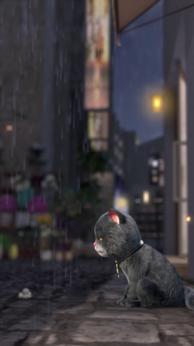 斑布猫-强大的自己