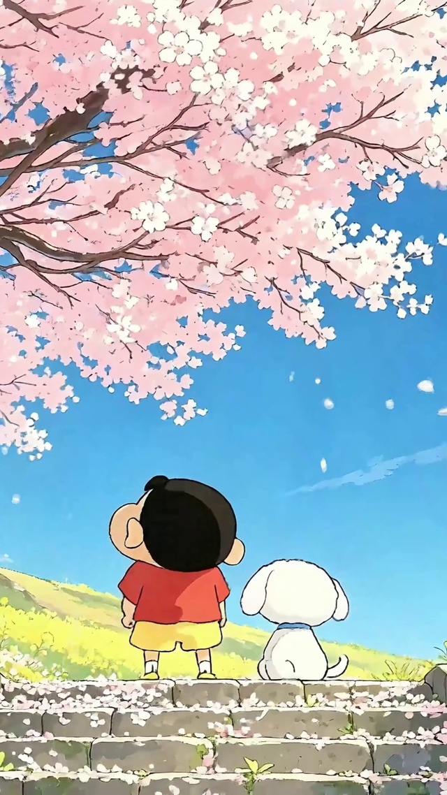 看樱花的小新