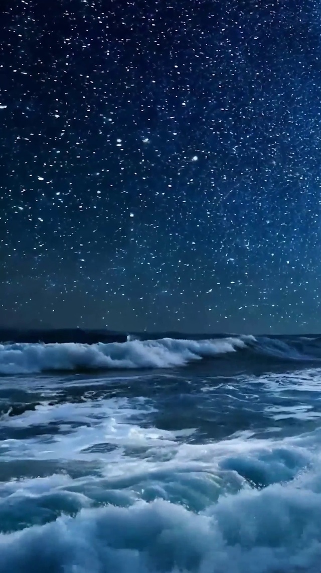 大海