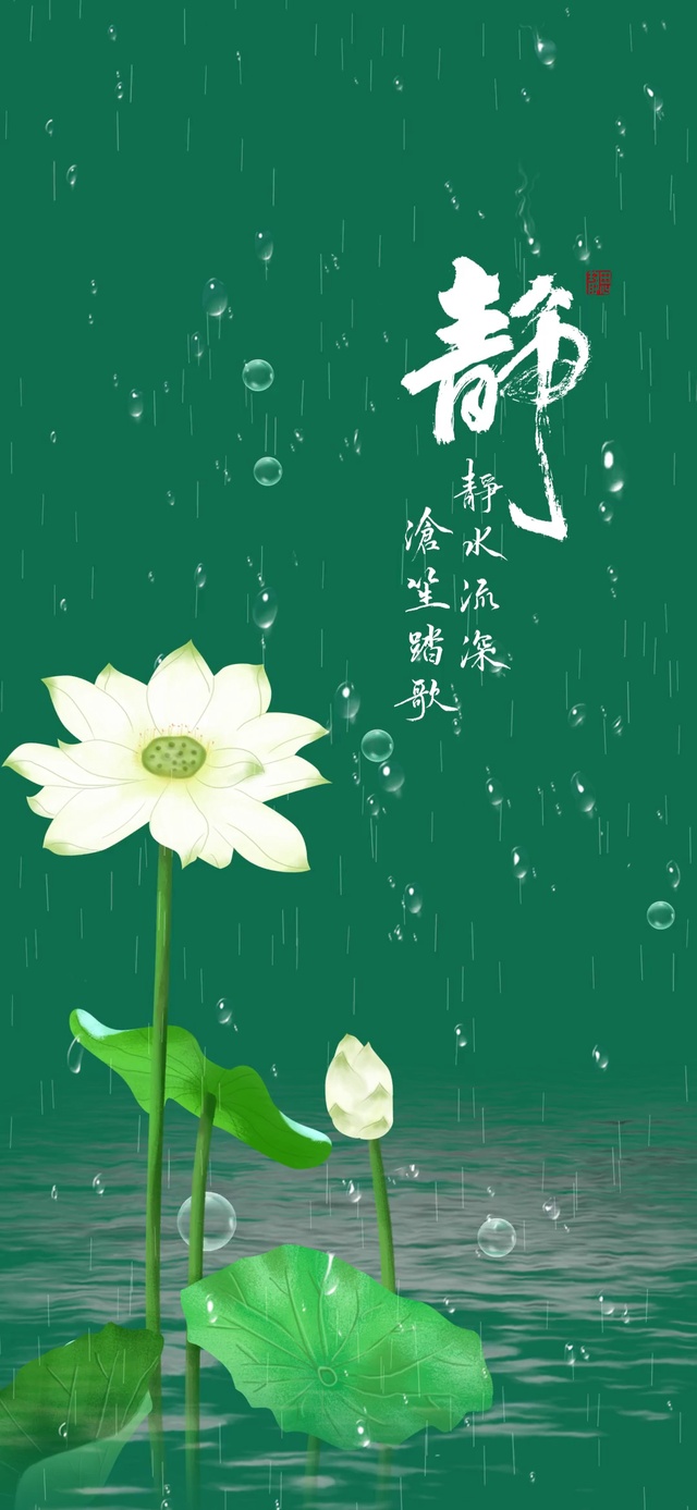 护眼壁纸系列之荷花
