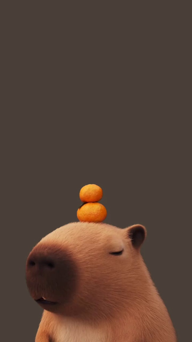 卡皮巴拉