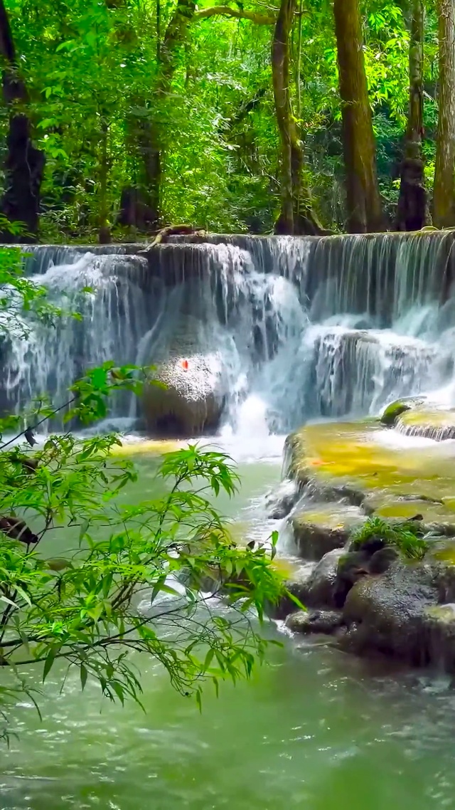 护眼绿林瀑布溪水