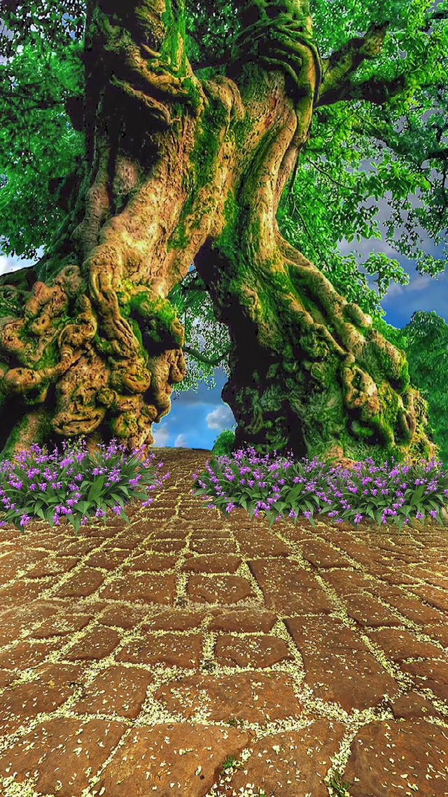 熬得住无人问津的寂寞，才配拥有诗和远方，陪你到最后的，一直是那个了不起的自己。