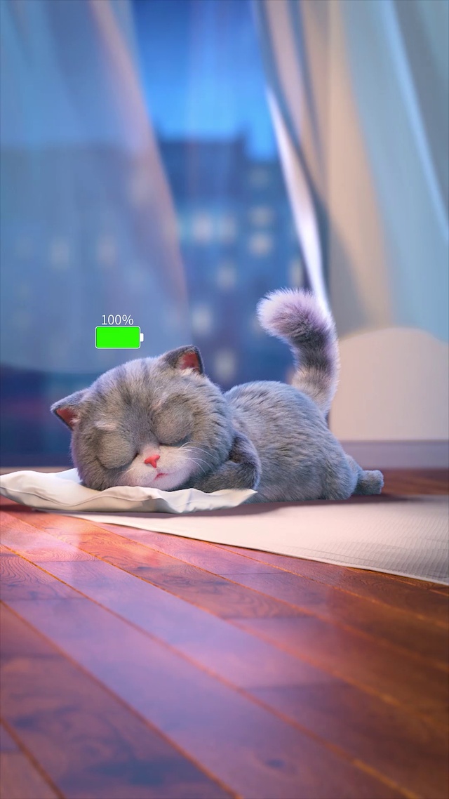 斑布猫-哄女朋友