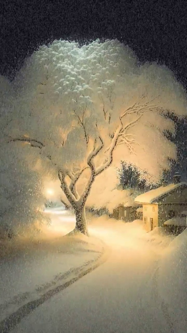 雪景