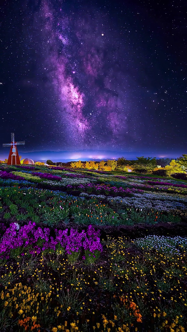 夜景星空花海