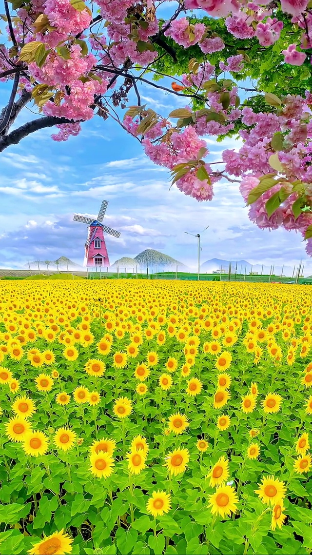 好心情从这里开始