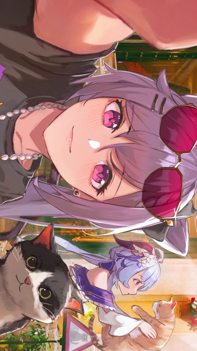 刻晴甘雨喵 横转竖