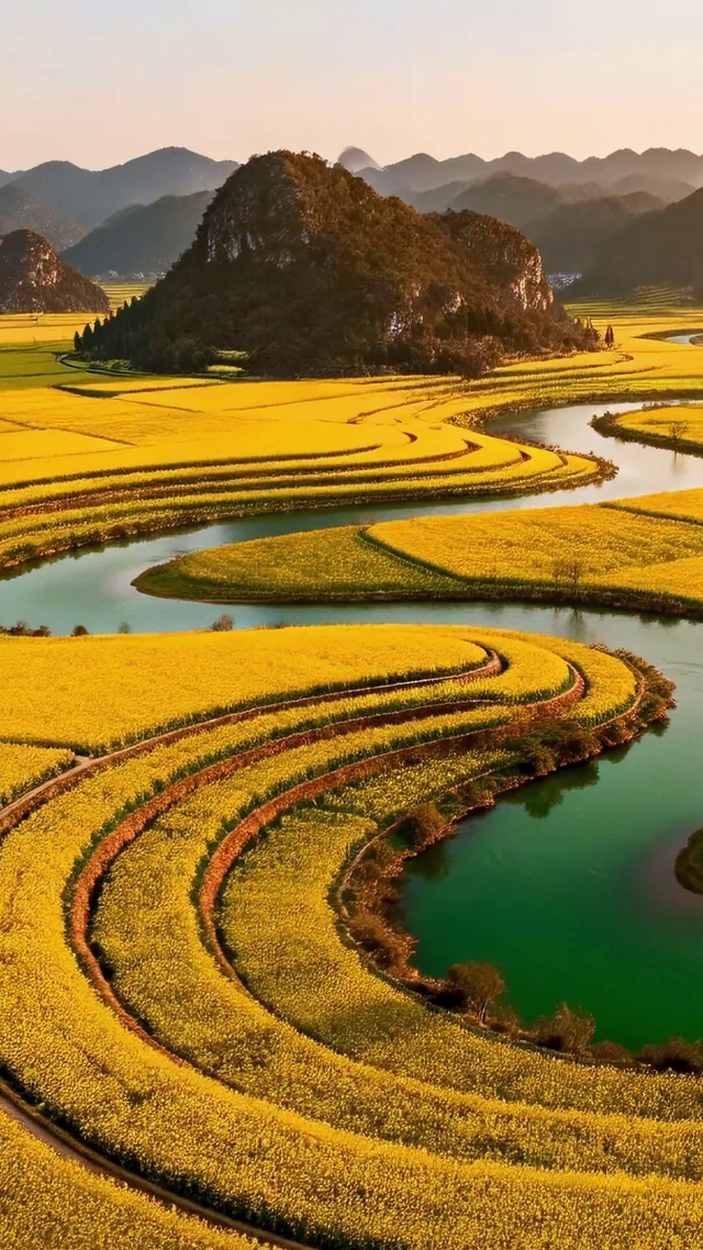 金色田园晨景