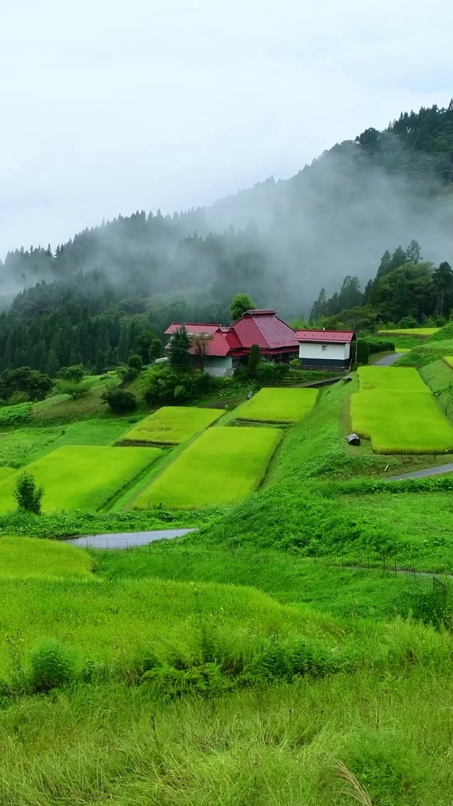 乡村山里雾气人家
