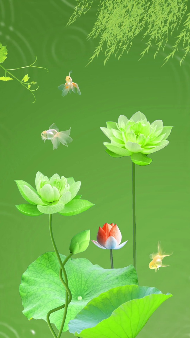 好运莲莲 风景手机动态壁纸 风景手机壁纸下载 元气壁纸