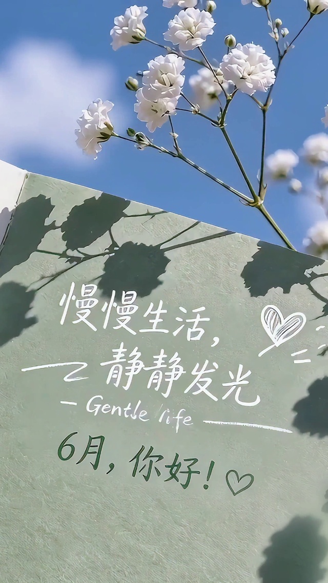六月的慢慢生活静静发光