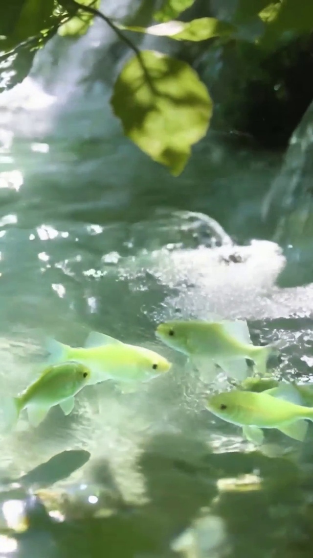 护眼水流