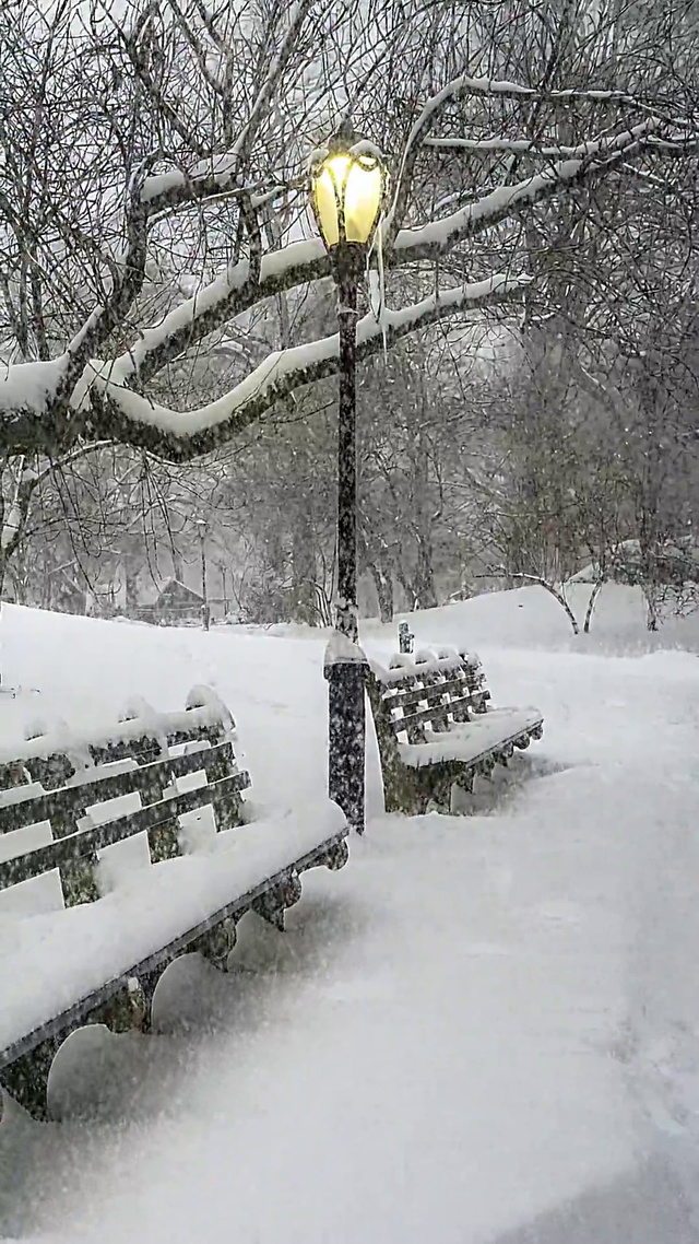 下雪天(风景手机动态壁纸) - 风景手机壁纸下载 - 元气壁纸
