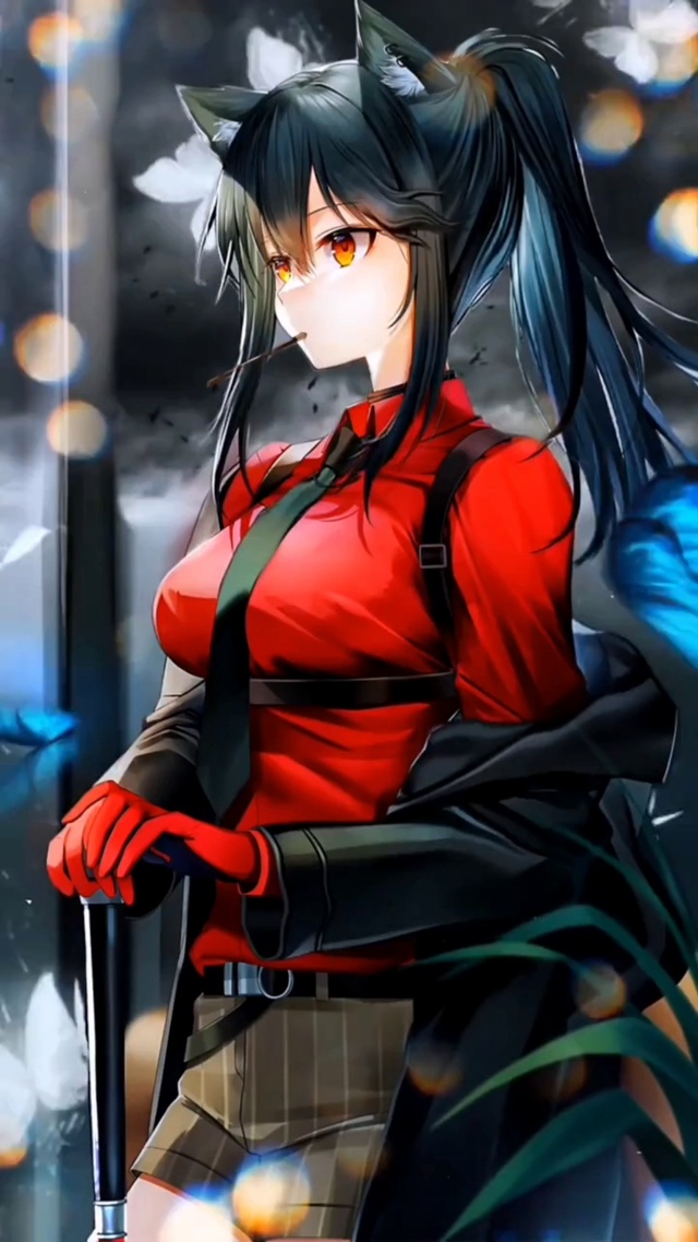 明日方舟德克萨斯