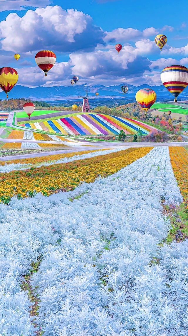 热气球花海