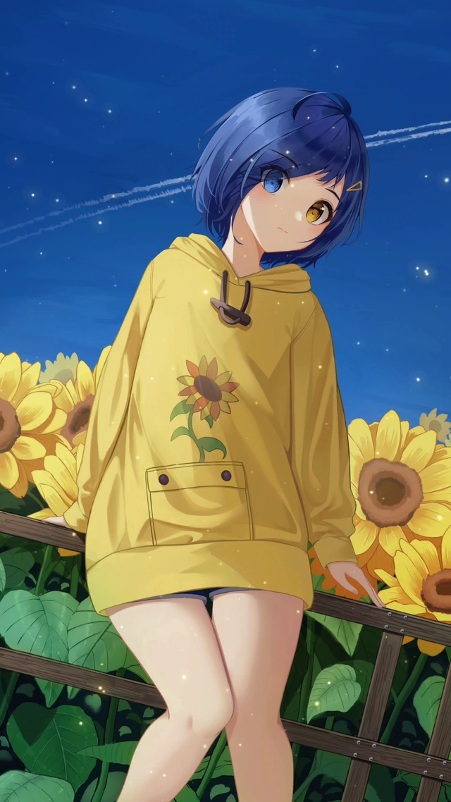 奇蛋物语大户爱4k