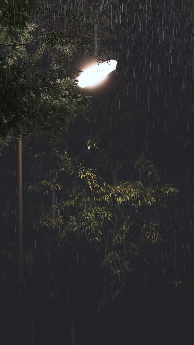 夜雨