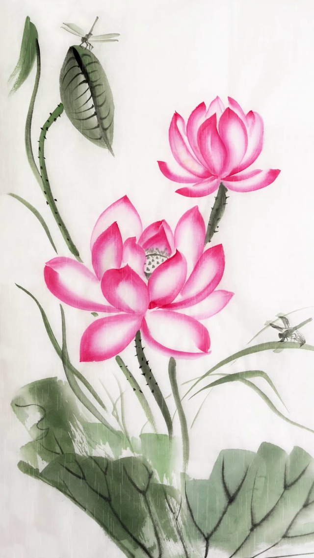 4k中国风水墨美丽的荷花